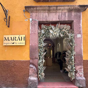 Facade of MESONES 66